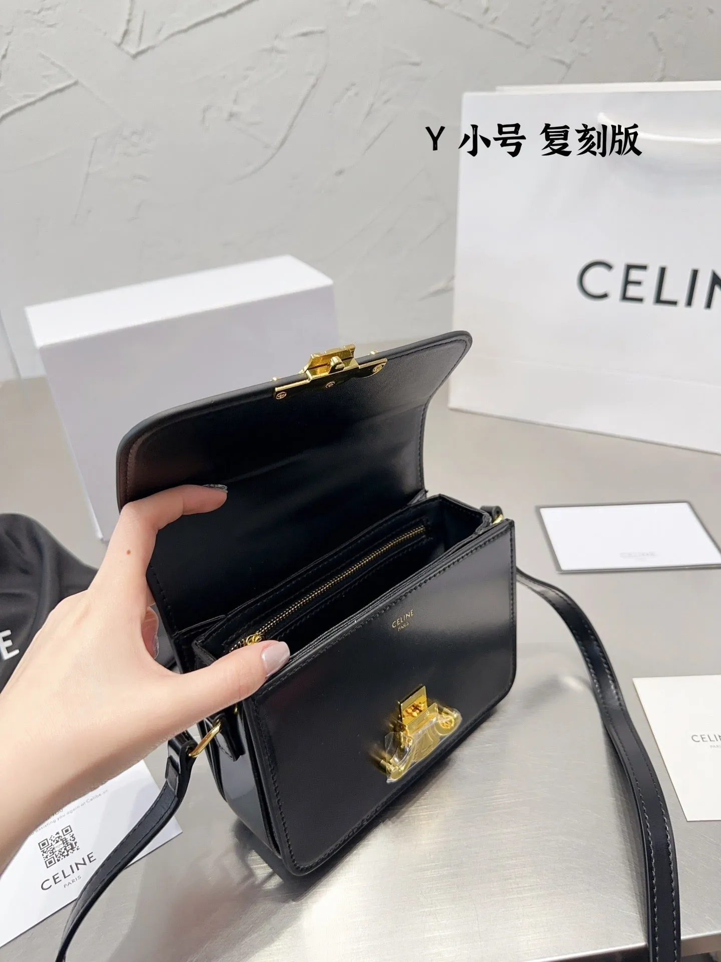 CL111 Mini/Small Teen Triomphe Bag