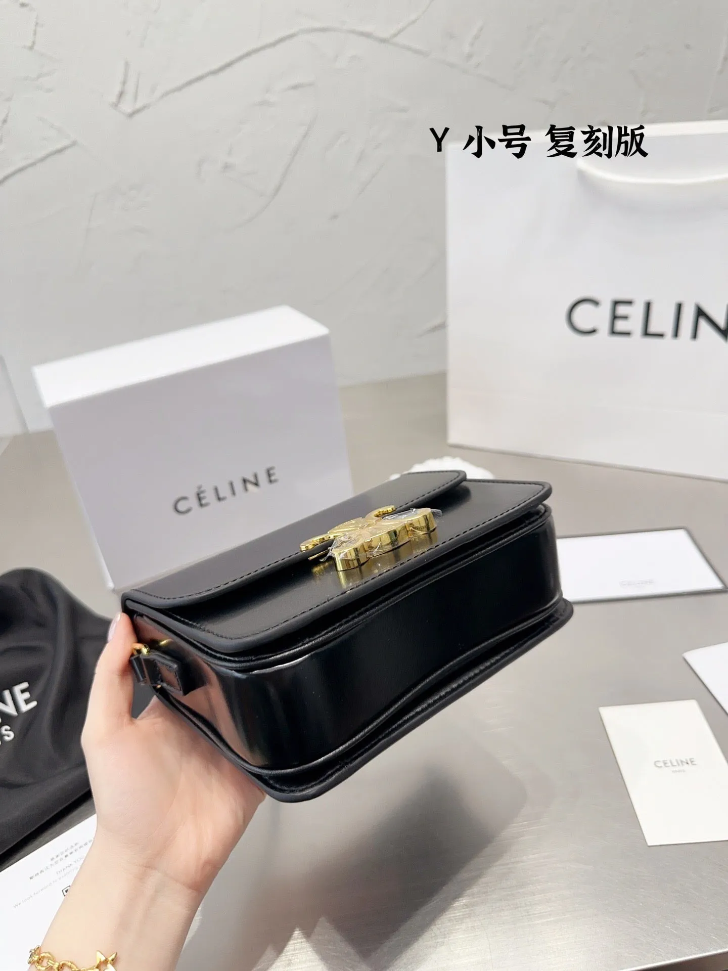 CL111 Mini/Small Teen Triomphe Bag