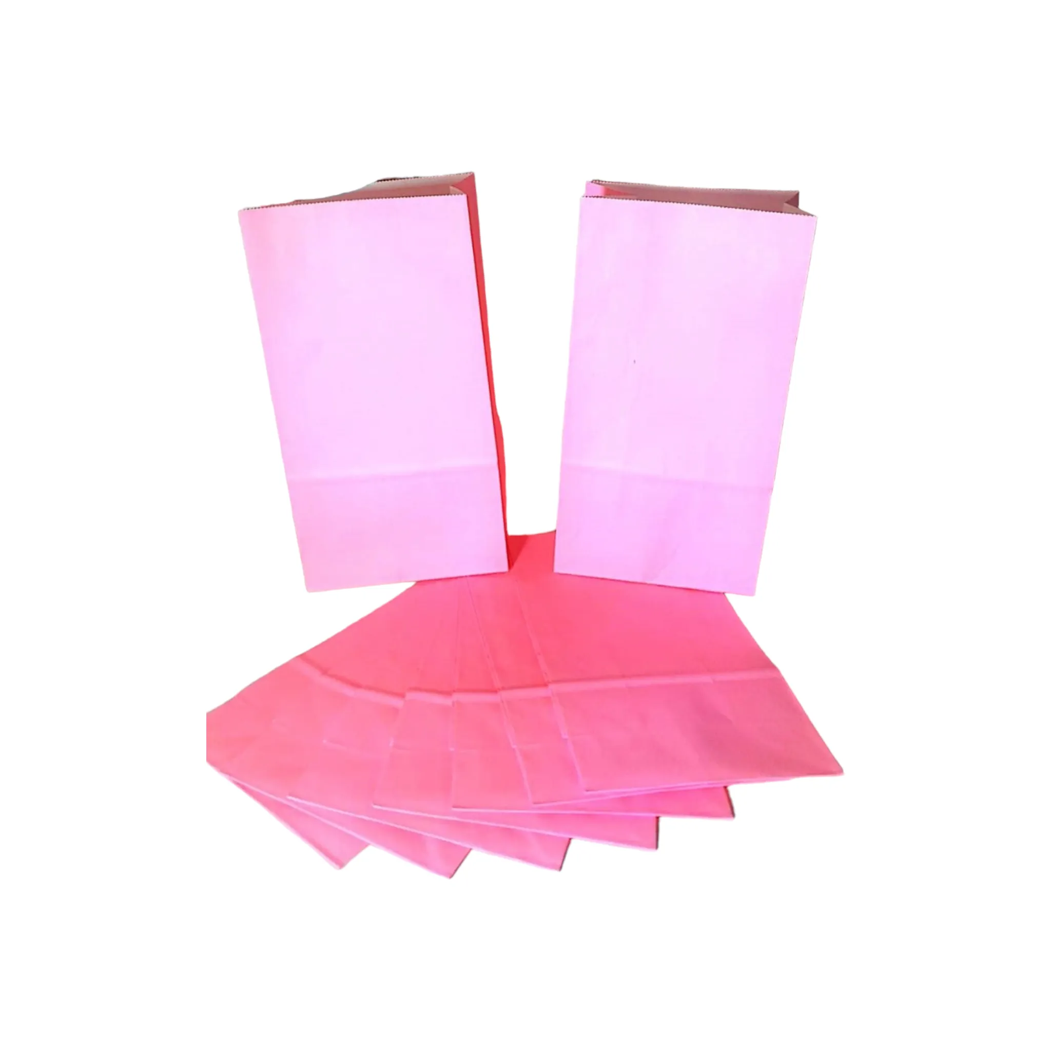 Kraft Paper Party Treats Bags Plain 24x13x8cm 10pack