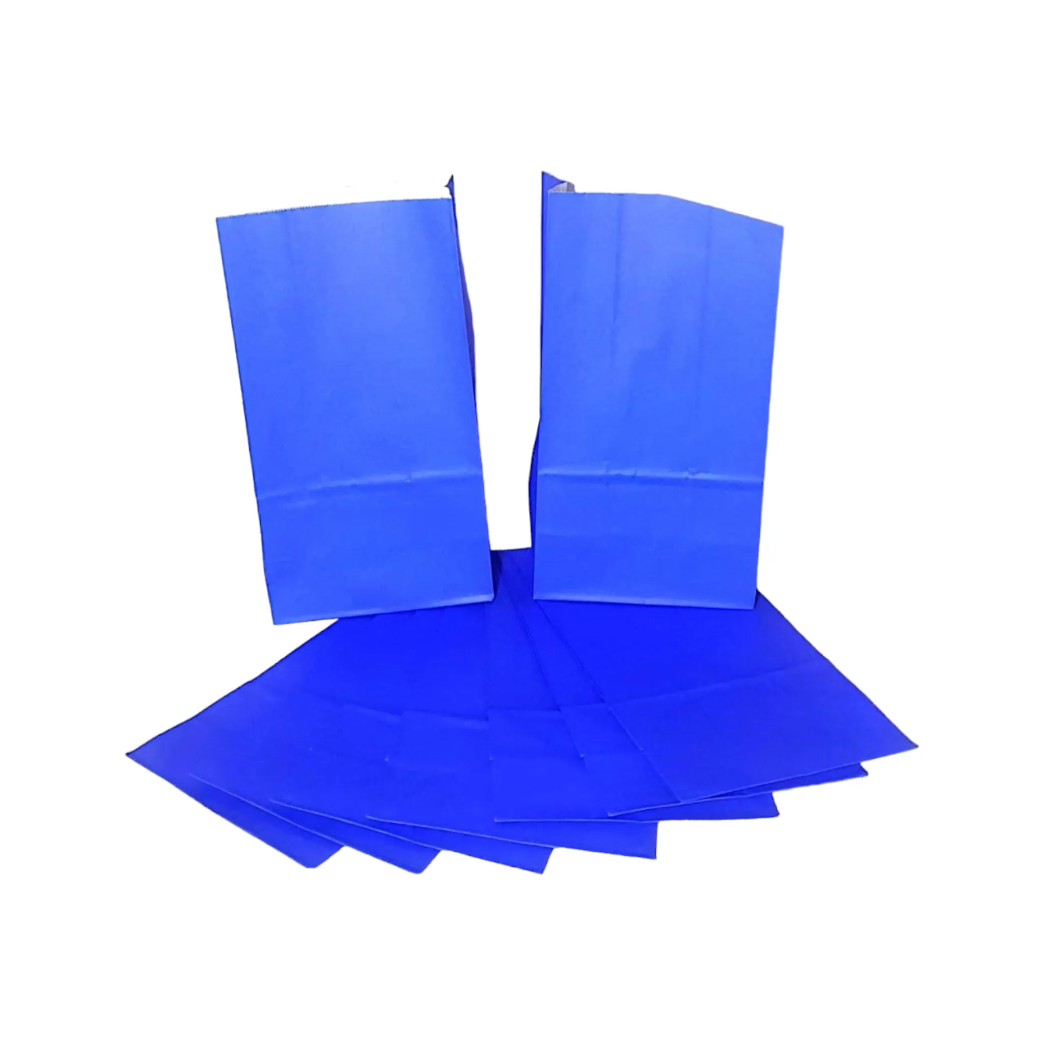 Kraft Paper Party Treats Bags Plain 24x13x8cm 10pack
