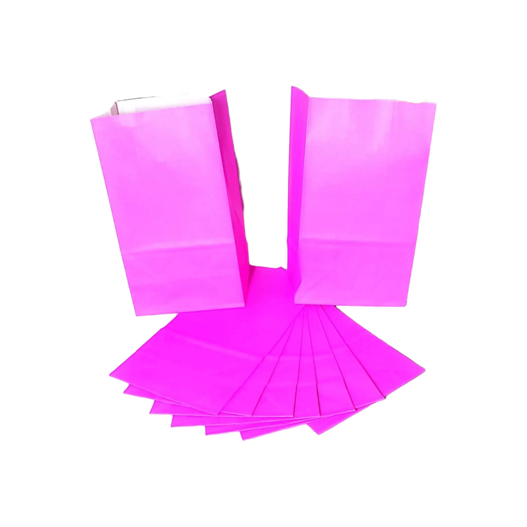 Kraft Paper Party Treats Bags Plain 24x13x8cm 10pack